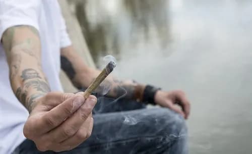 Jak wyleczyć uzależnienie od marihuany i odzyskać kontrolę nad życiem Jak wyleczyć uzależnienie od marihuany i odzyskać kontrolę nad życiem