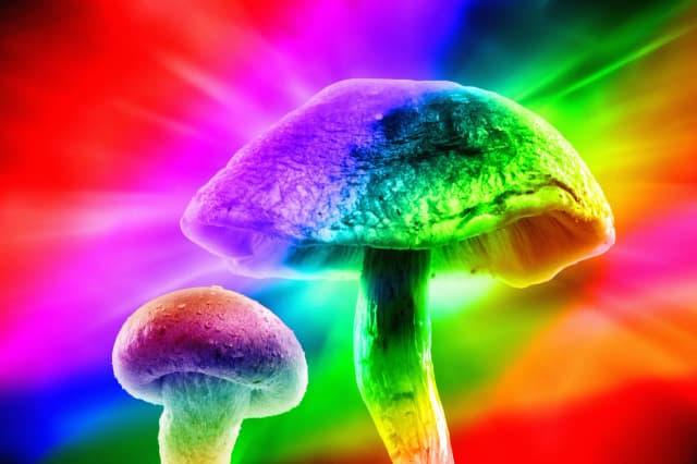Psychodeliki w Polsce: Badania i terapie, które mogą zmienić życie Psychodeliki w Polsce: Badania i terapie, które mogą zmienić życie