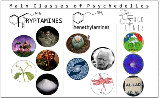 Psychodeliki lista: poznaj ich działanie i skutki uboczne Psychodeliki lista: poznaj ich działanie i skutki uboczne